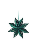 Velvet star - Dark Green - image 1