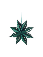 Velvet star - Dark Green - image 1