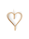 Hanging heart - Nature - image 1